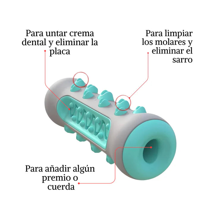 DentiCool | Mastica, Limpia y Entretiene