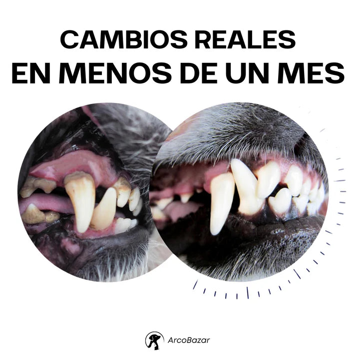 DentiCool | Mastica, Limpia y Entretiene