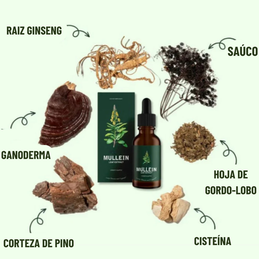 Detox profundo | respira sin peso