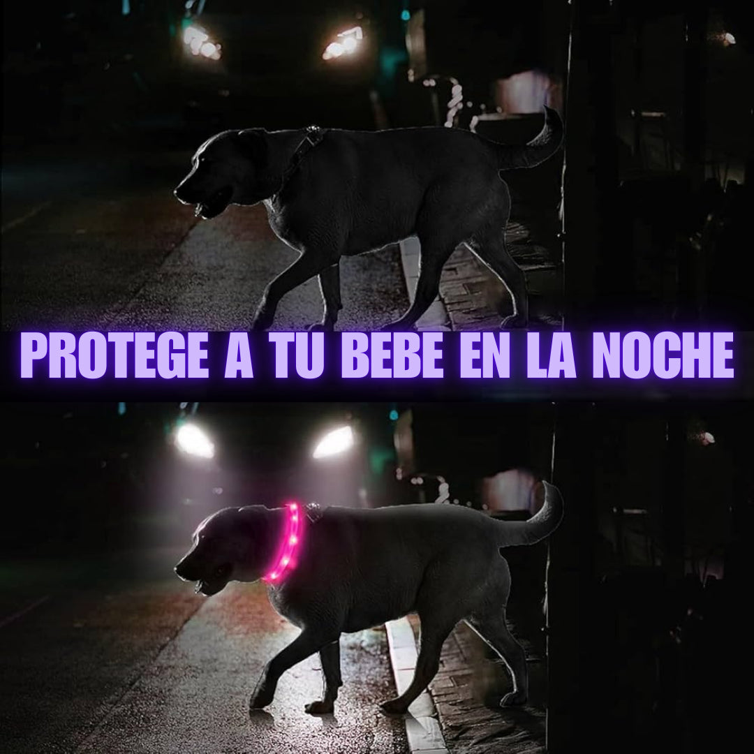 Collar led recargable 🐶 Tu bebe siempre seguro