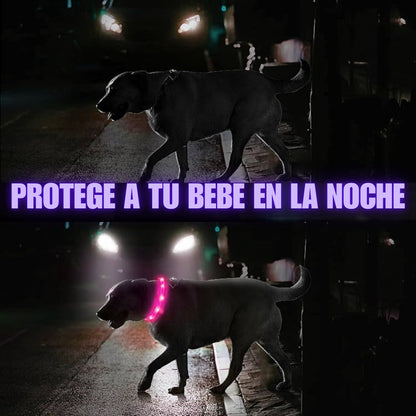 Collar led recargable 🐶 Tu bebe siempre seguro
