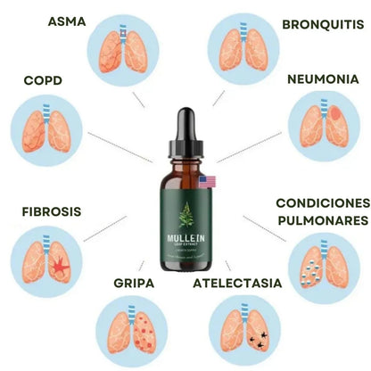 Detox profundo | respira sin peso